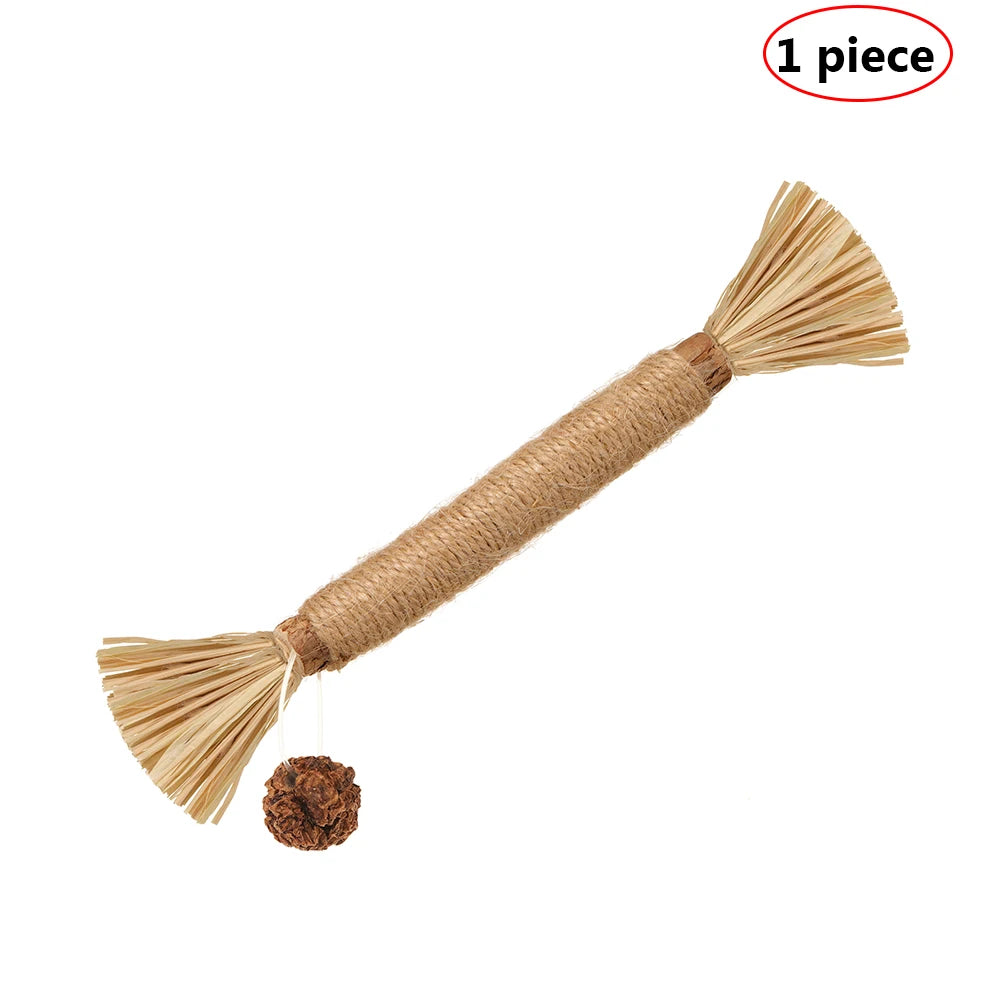 Eine einzelne natürliche Silberwinde-Katze kaut einen Stock aus getrockneten Pflanzenfasern und Schnur.