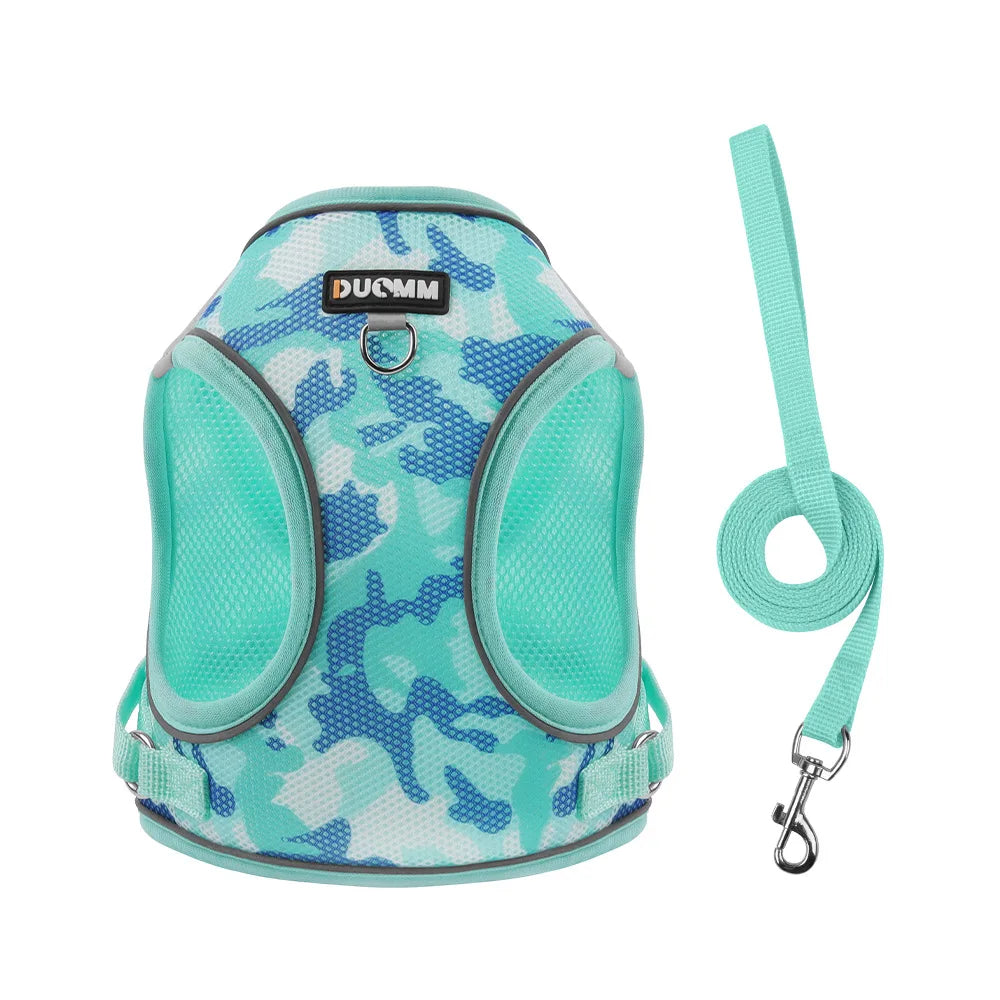 A teal camouflage harness for cats and small dogs with a matching leash.