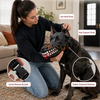 Scary Dog Muzzle Costume Mask with Fake Teeth