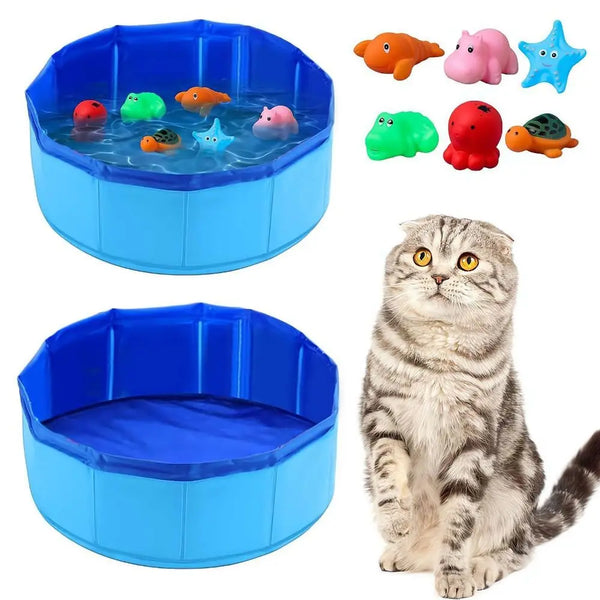 A blue foldable pet bathing pool filled with water and various sea life toys, next to a tabby cat.