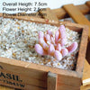 Artificial Succulent Bonsai Plant for Home Decor