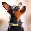 Personalisierte gepolsterte Leder-Hundehalsband mit graviertem Namensschild