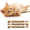 Eine kleine orange Katze liegt neben mehreren natürlichen Silberdistel-Kauenstäben.
