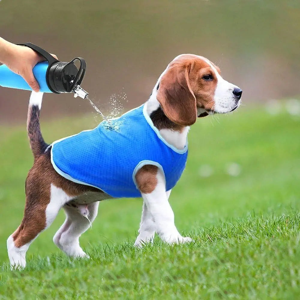 Evaporative Cooling Vest for Dogs – Lightweight & Breathable