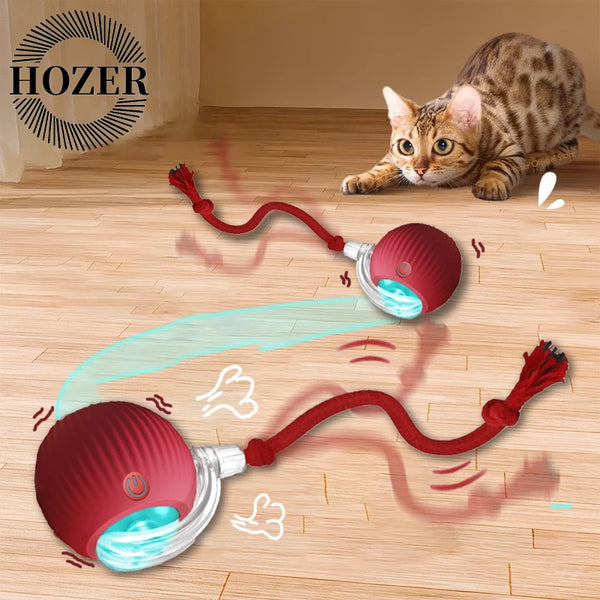 A red interactive automatic rolling cat toy is shown on a wooden floor with a kitten nearby.