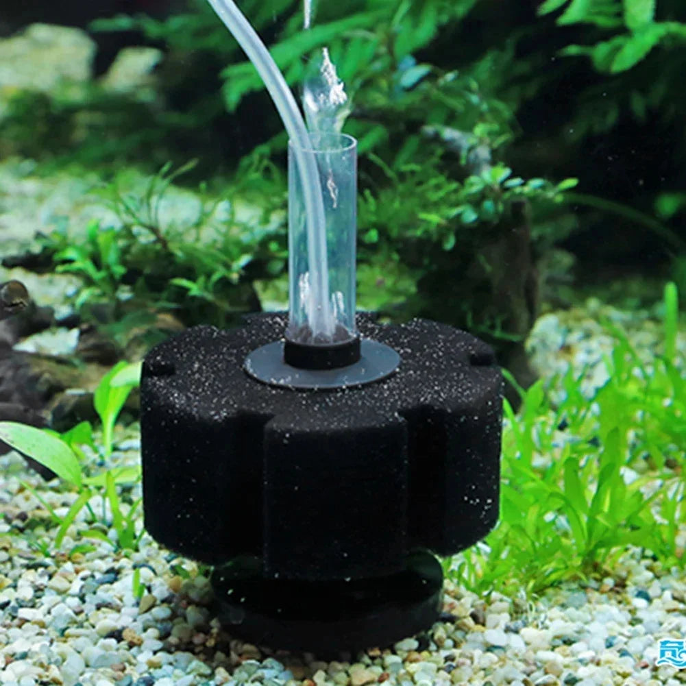 Biochemical Sponge Filter for Aquarium with Air Pump