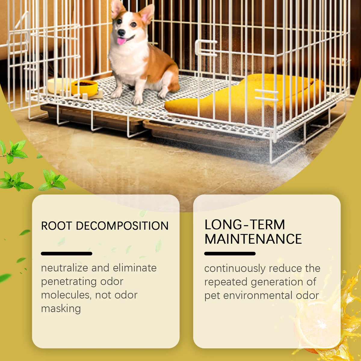 A small dog sits inside a wire crate on a wooden platform, surrounded by enzyme formula pet odor eliminator products.
