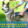 Double-Sided Pet Grooming Comb for Detangling and Shedding