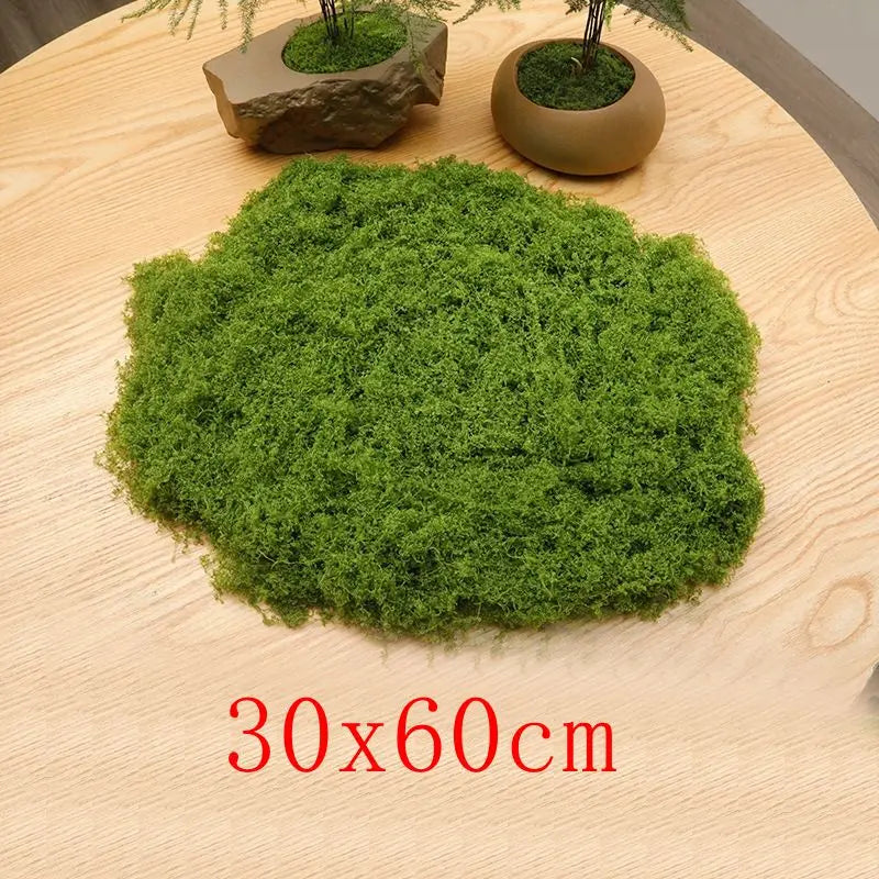 Natural Green Preserved Moss for DIY Crafts and Decor