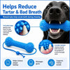 Dual-Action Canine Dental Prop for Dogs