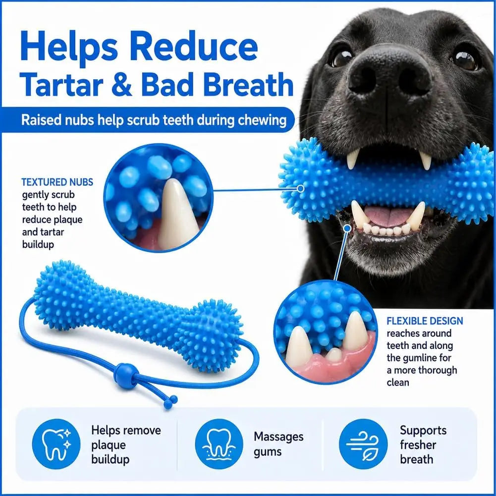 Dual-Action Canine Dental Prop for Dogs