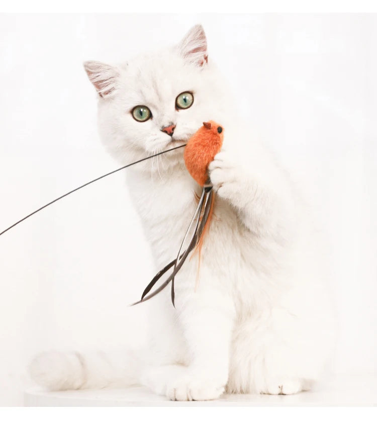 Jouet Interactif pour Chat avec Plumes et Baguette