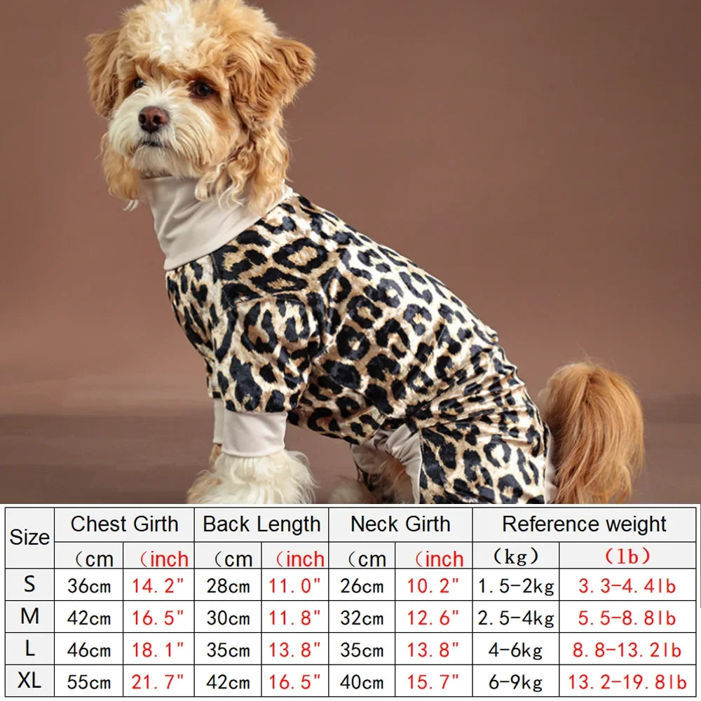A small dog wearing a leopard print jumpsuit with a light collar, standing against a neutral background.