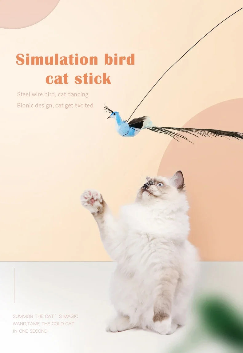 Jouet Interactif pour Chat en Forme de Paon avec Clochette