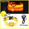 USB Charging Glowing Dog Collar with Pendant - Night Safety