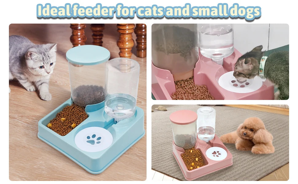 Râtelier automatique pour animaux (chats et petits chiens), avec bols à nourriture sèche et eau.