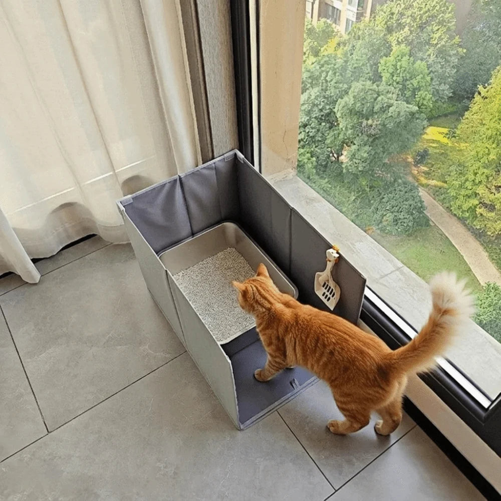 A fluffy orange cat is standing inside a gray foldable litter box enclosure near a window.