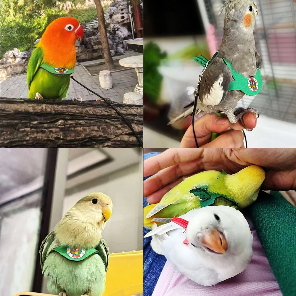A collection of colorful parrot figures, including an orange parrot, a gray parrot, and a yellow parrot, with green harnesses