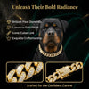 Luxury Gold Stainless Steel Dog Collar with Diamond Inlay