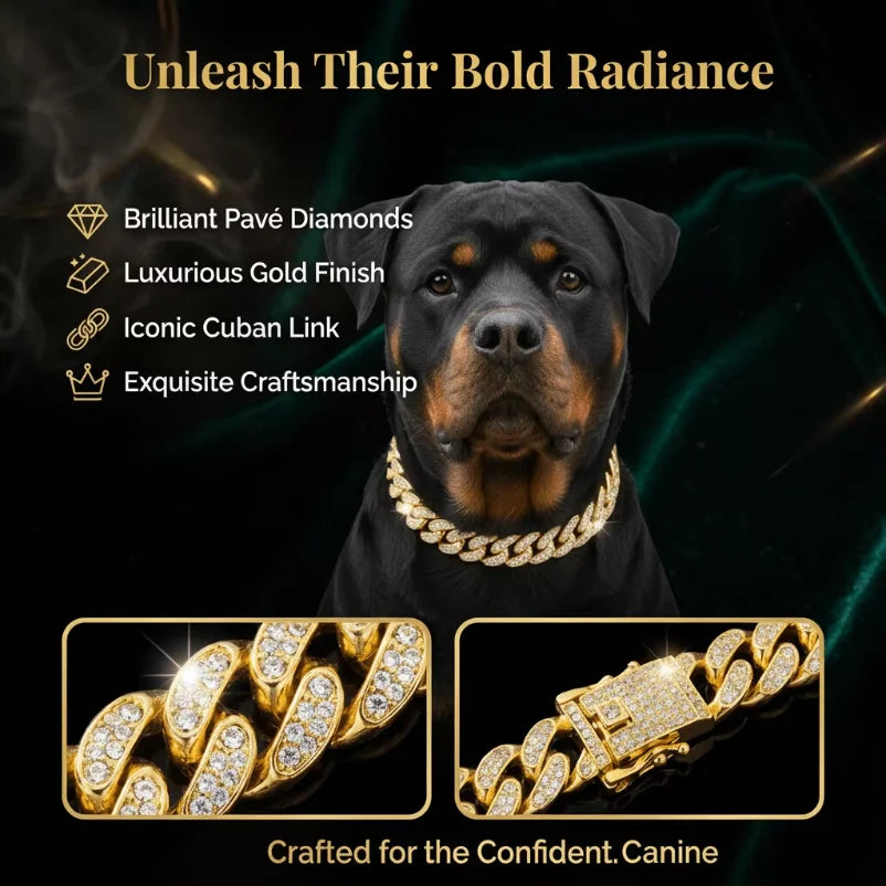 Luxury Gold Stainless Steel Dog Collar with Diamond Inlay