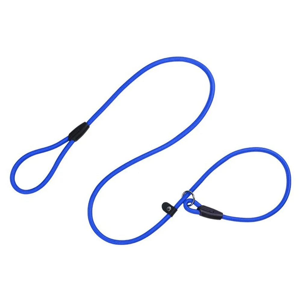 A bright blue adjustable nylon dog slip leash with a black clip and long strap.