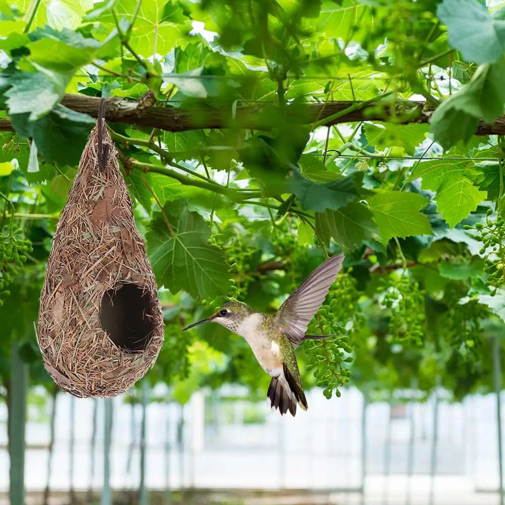 A small bird is flying near a hand-woven grass bird nest hanging from a tree branch amidst green foliage.