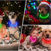 A collage showing dogs wearing glowing LED collars in various colors and festive holiday settings.
