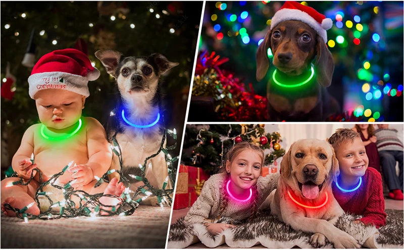 A collage showing dogs wearing glowing LED collars in various colors and festive holiday settings.