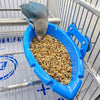 Window-Mount Bird Feeder with Suction Cups