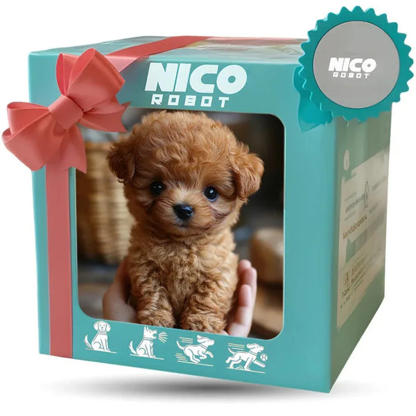 A small, fluffy brown puppy is visible inside a light blue box labeled NICO ROBOT.