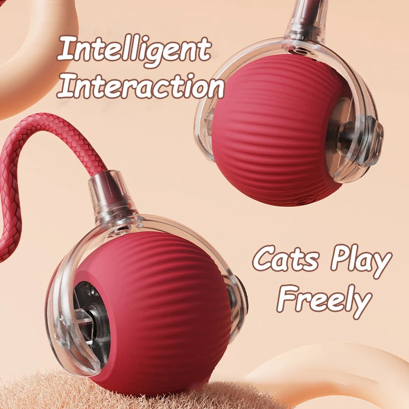 Interactive Rolling Cat Toy with Faux Tail