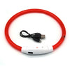 USB-wiederaufladbares LED-Haustier-Sicherheitsgeschirr
