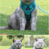 Reflektierendes Netz-Hundegeschirr & Leine Set für Katzen