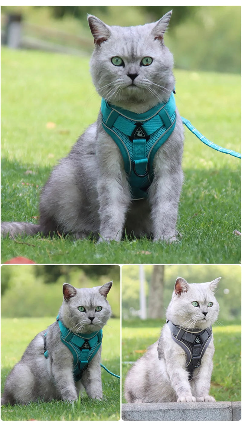 Reflektierendes Netz-Hundegeschirr & Leine Set für Katzen