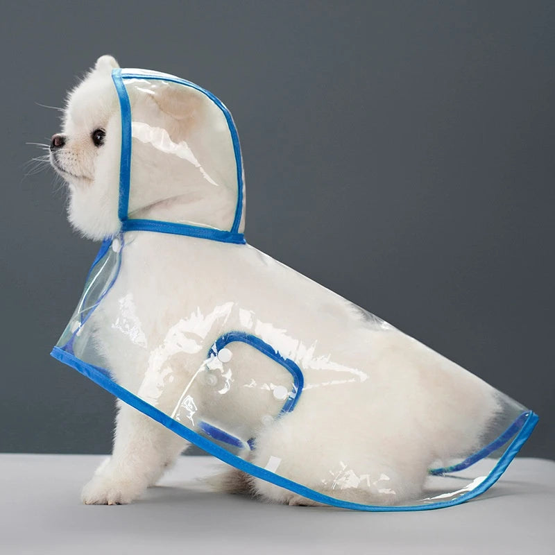 A white dog is wearing a transparent blue raincoat with a hood.