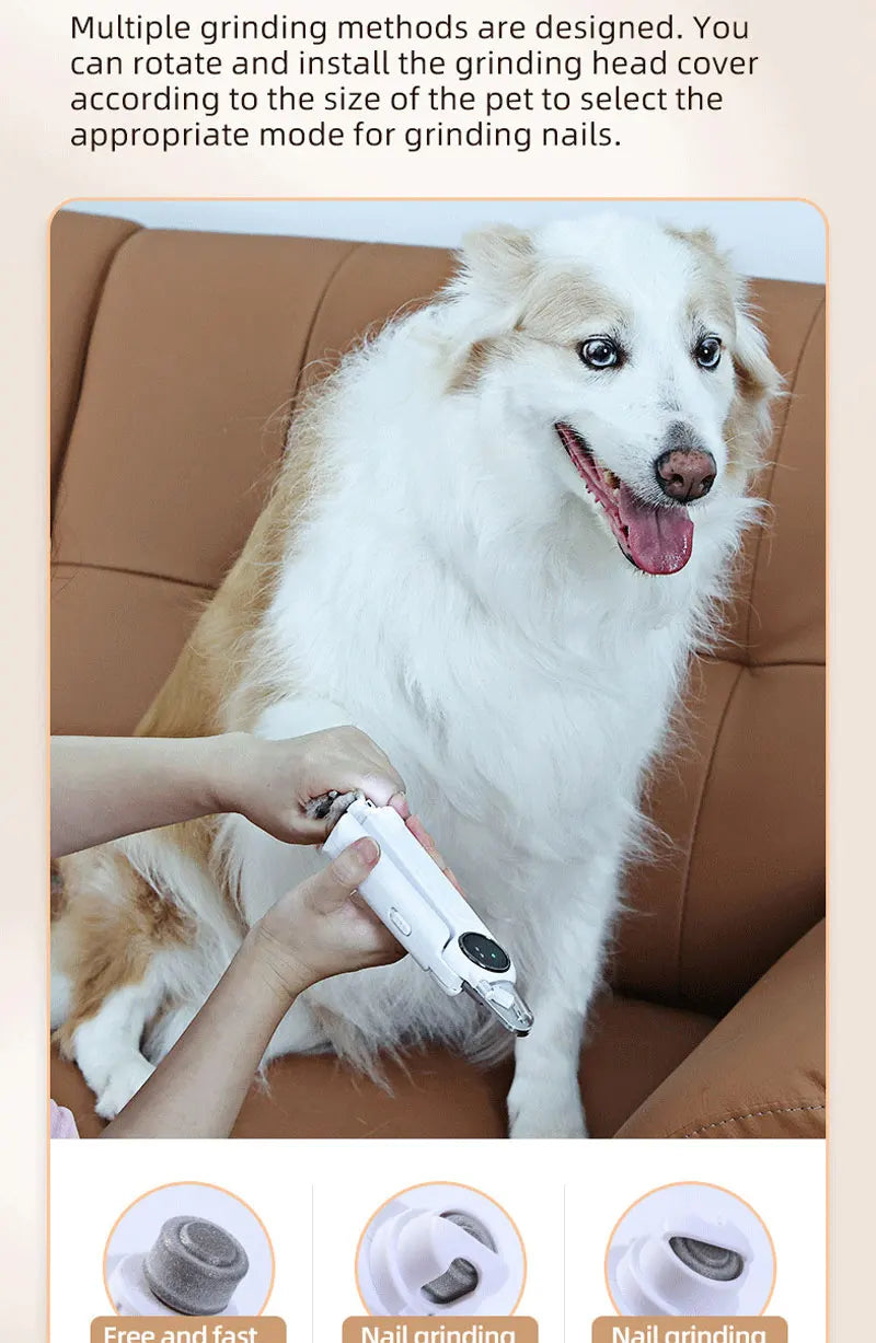A person is using a white LED pet nail clipper and grinder on a dog's paw.