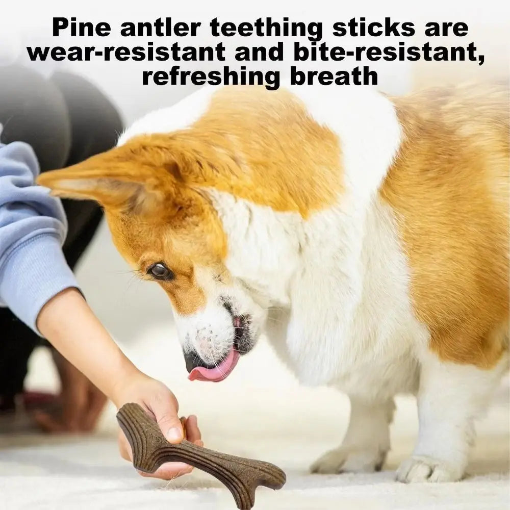 A person is holding a natural wood dog chew stick near a dog's mouth.