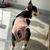 Adjustable Dog Diaper Pants with Suspenders