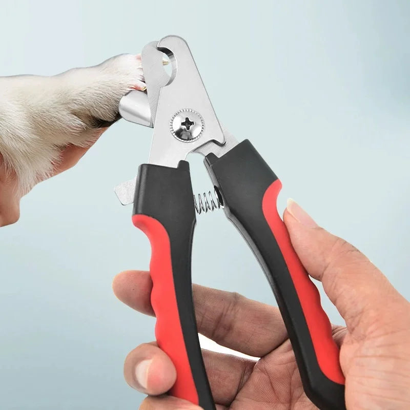 Eine Hand hält silberne Nagelschere für Haustiere, mit einer Katzenpfote nahe der Klinge sichtbar.