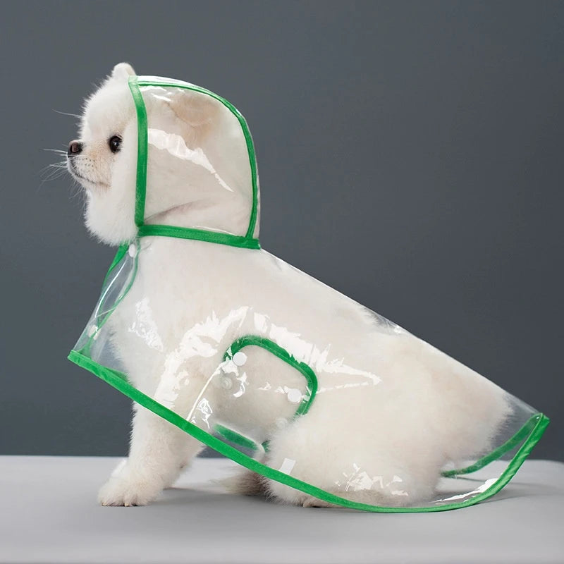 A white dog wearing a transparent green raincoat with a hood, standing on a light surface.