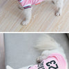 A white dog wearing a pink basketball vest with Chicago lettering.