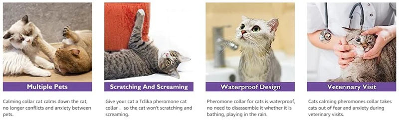 A cat is shown using a calming collar for pets, demonstrating its use in reducing conflict and anxiety.