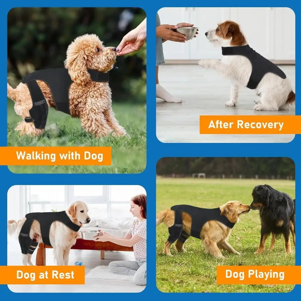 Un chien portant une attelle noire pour le genou et les articulations, dans diverses activités comme marcher, se reposer et j