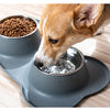 Bol double en acier inoxydable pour animaux avec base anti-débordement