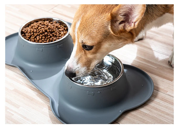 Bol double en acier inoxydable pour animaux avec base anti-débordement