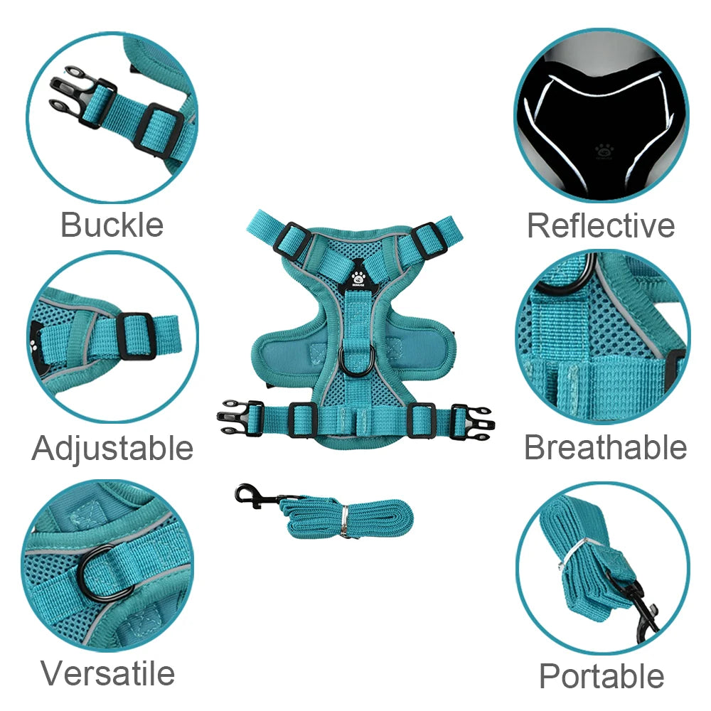A turquoise pet harness with a buckle, adjustable straps, and reflective features shown in various views.