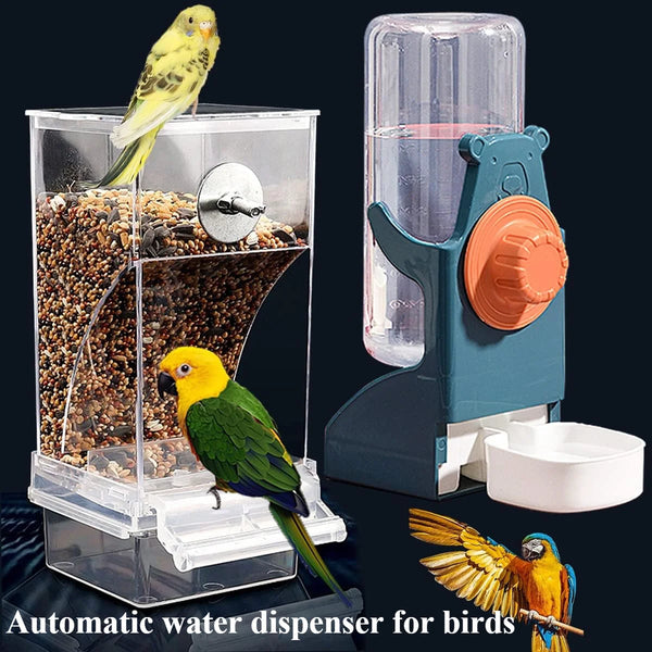 Distributeur d'eau automatique pour oiseaux montrant un oiseau se nourrissant d'une bouteille verticale.