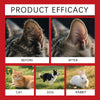 Gentle Pet Ear Cleaning Solution for Dogs, Cats & Rabbits