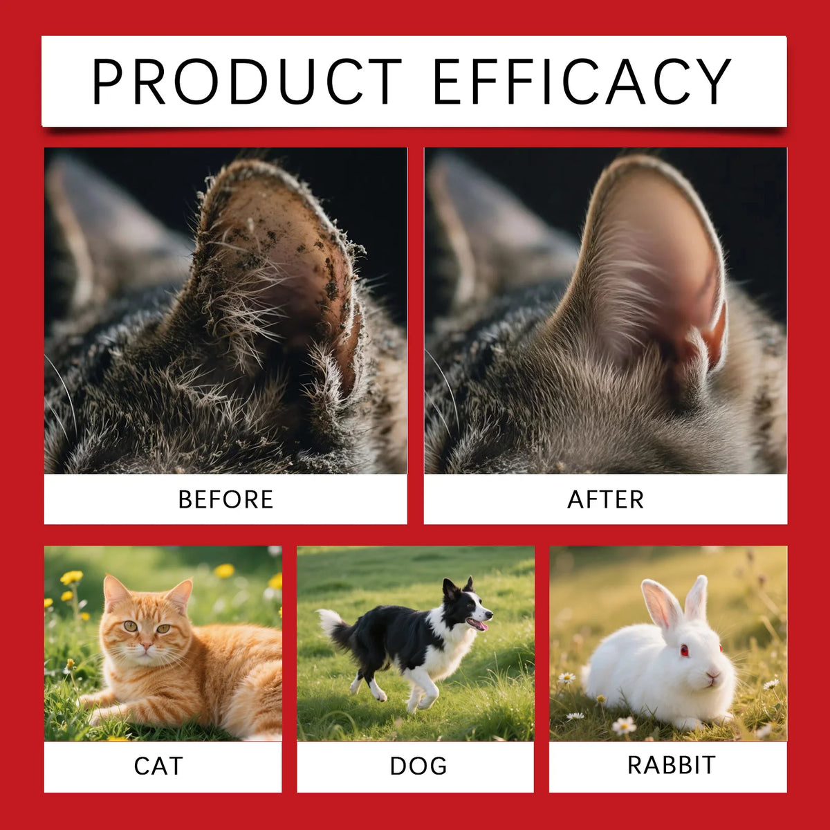 Gentle Pet Ear Cleaning Solution for Dogs, Cats & Rabbits