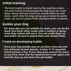 Foam Pet Stairs with Non-Slip Ladder for Dogs and Cats